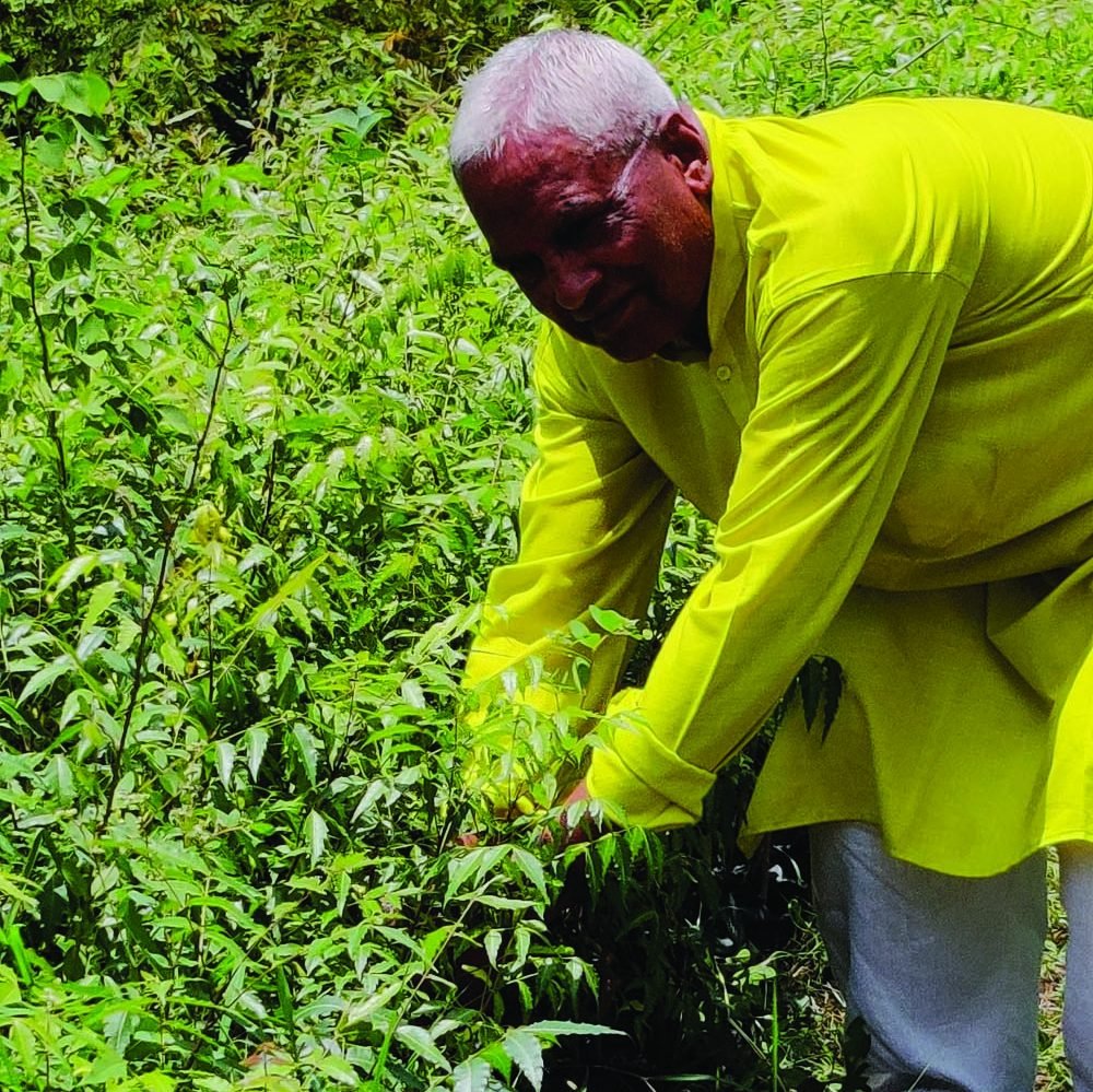 श्याम माहेश्वरी 