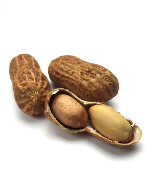  मूंगफली 