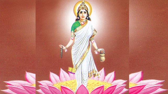 चैत्र नवरात्रि 2020- दिवस द्वितीय