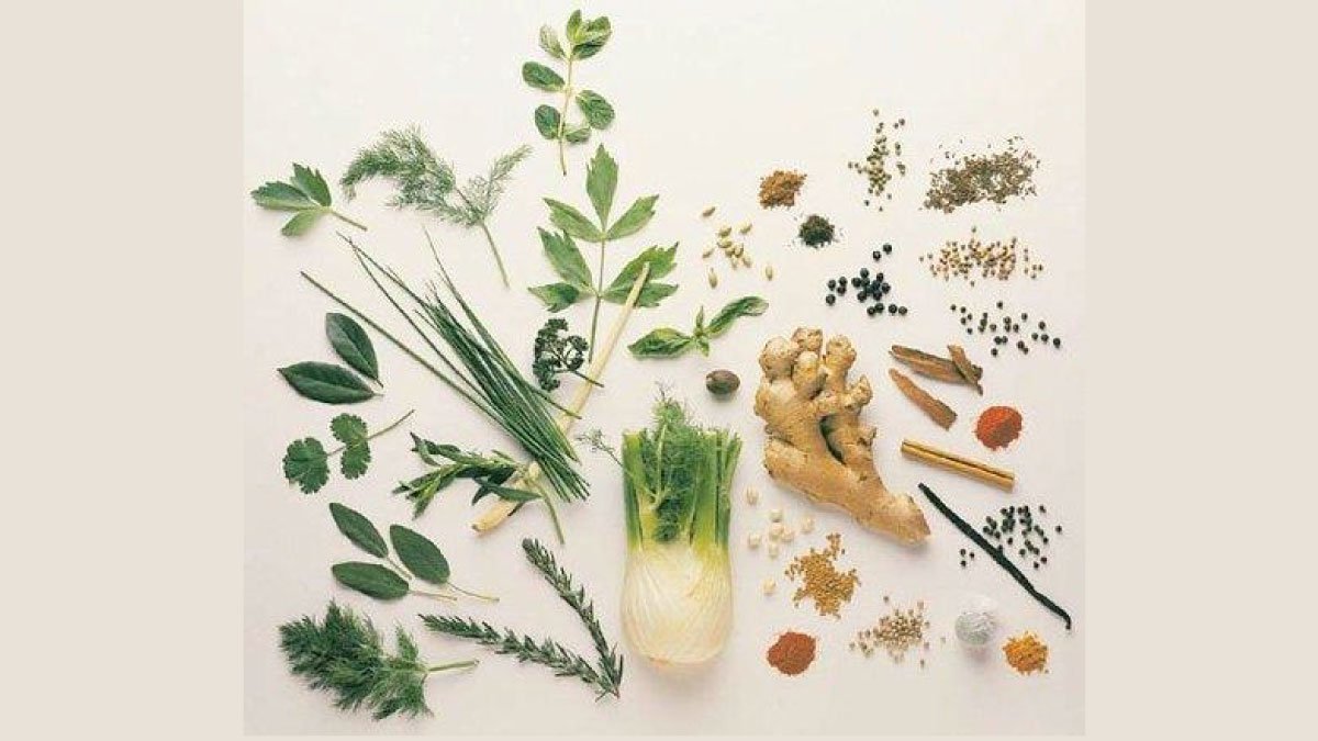 7 दिन की 7 औषधियाँ