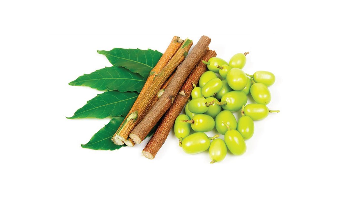 औषधीय गुणों का पिटारा- नीम