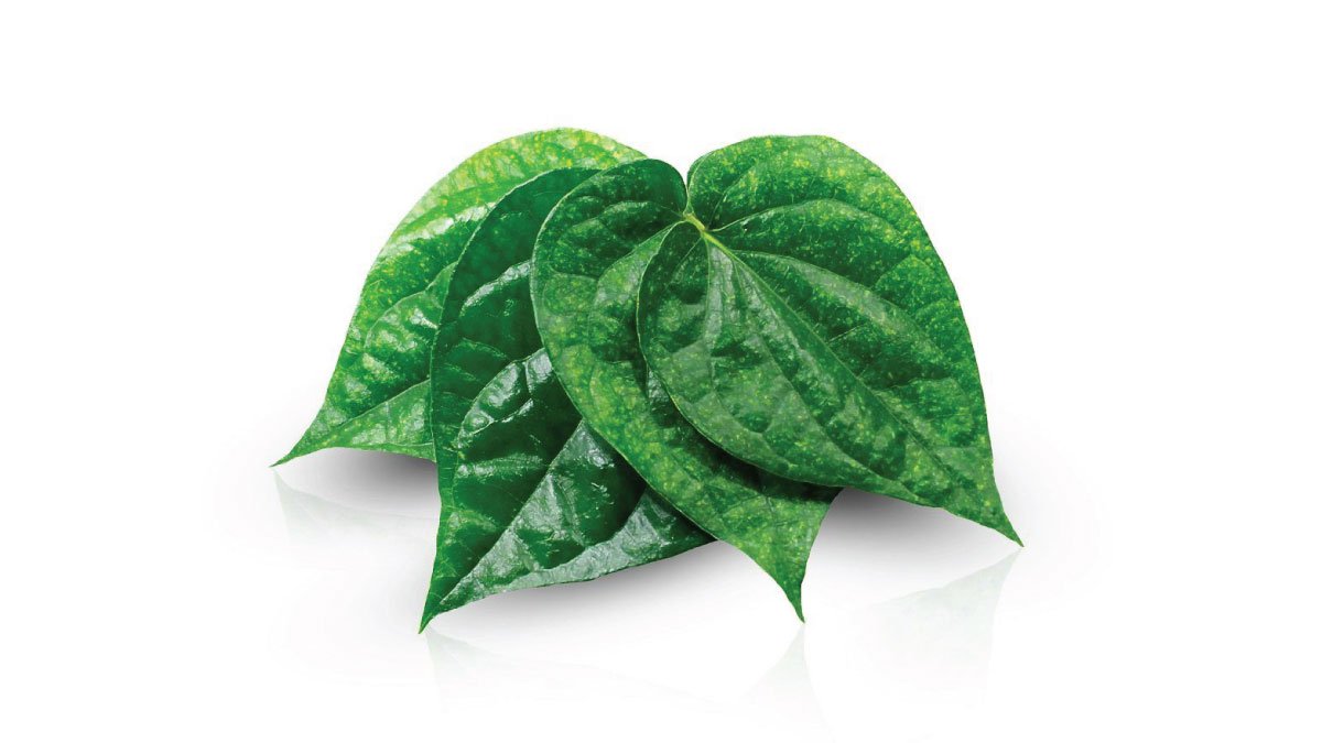 गुणों का पिटारा- पान के पत्ते