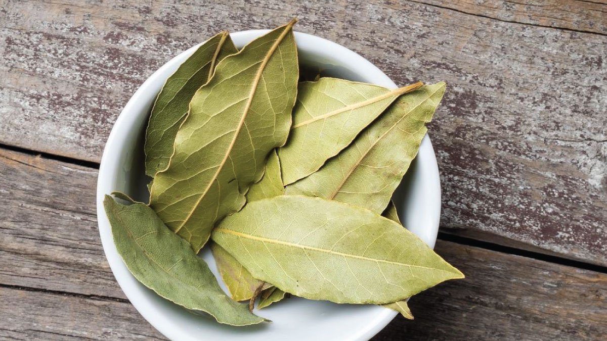 डायबिटीज में फायदेमंद- तेजपत्ता