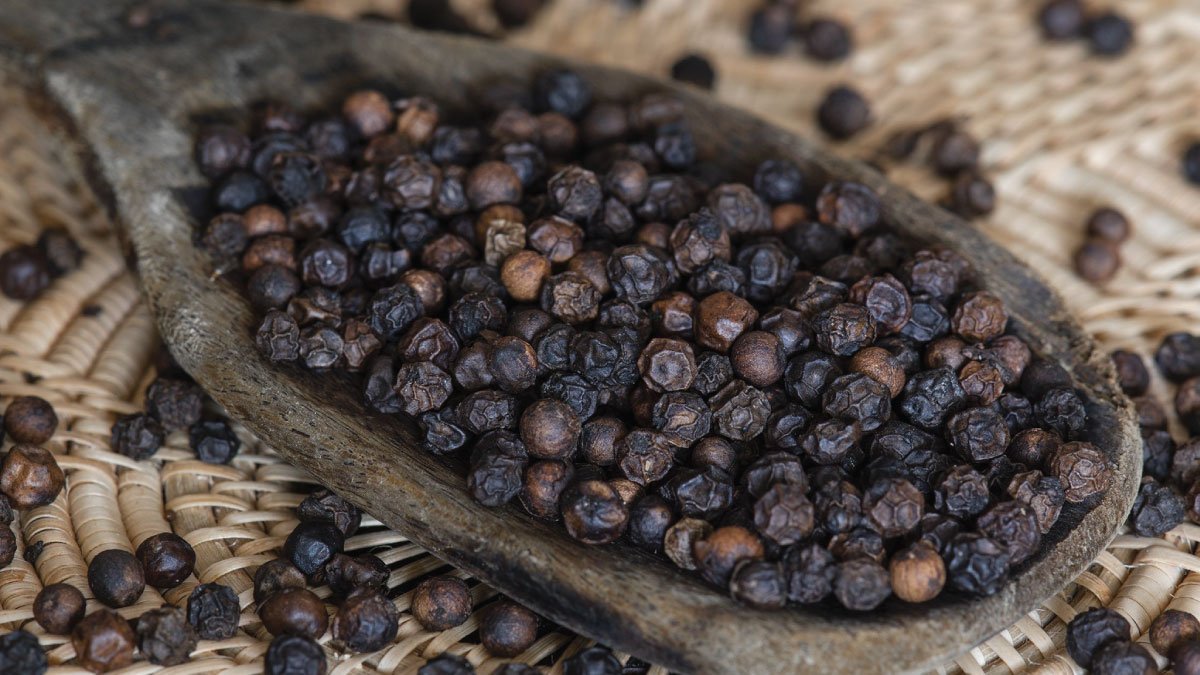 बीमारियों की दुश्मन- काली मिर्च