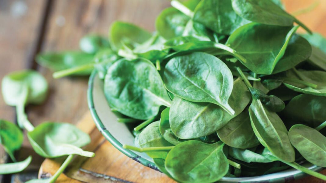 Green-Veggie शाक