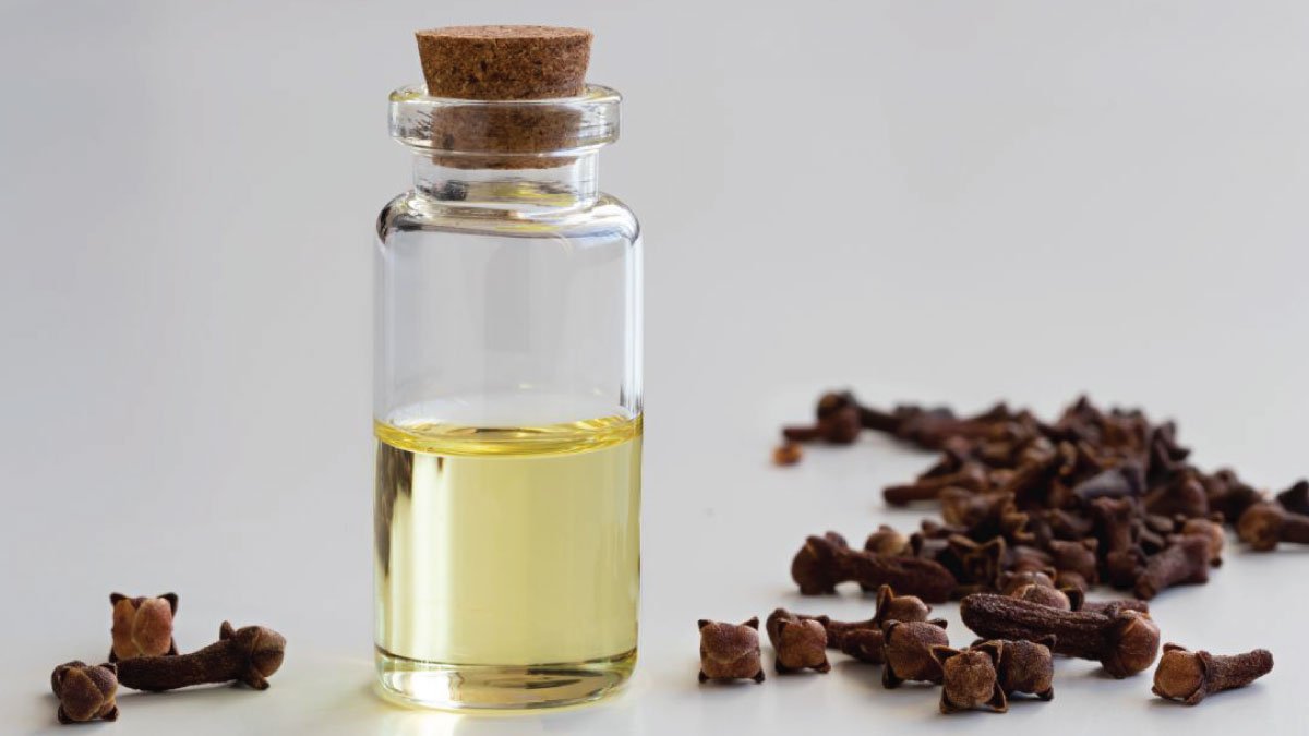 स्वास्थ्य समस्यों में असरदार- लौंग का तेल
