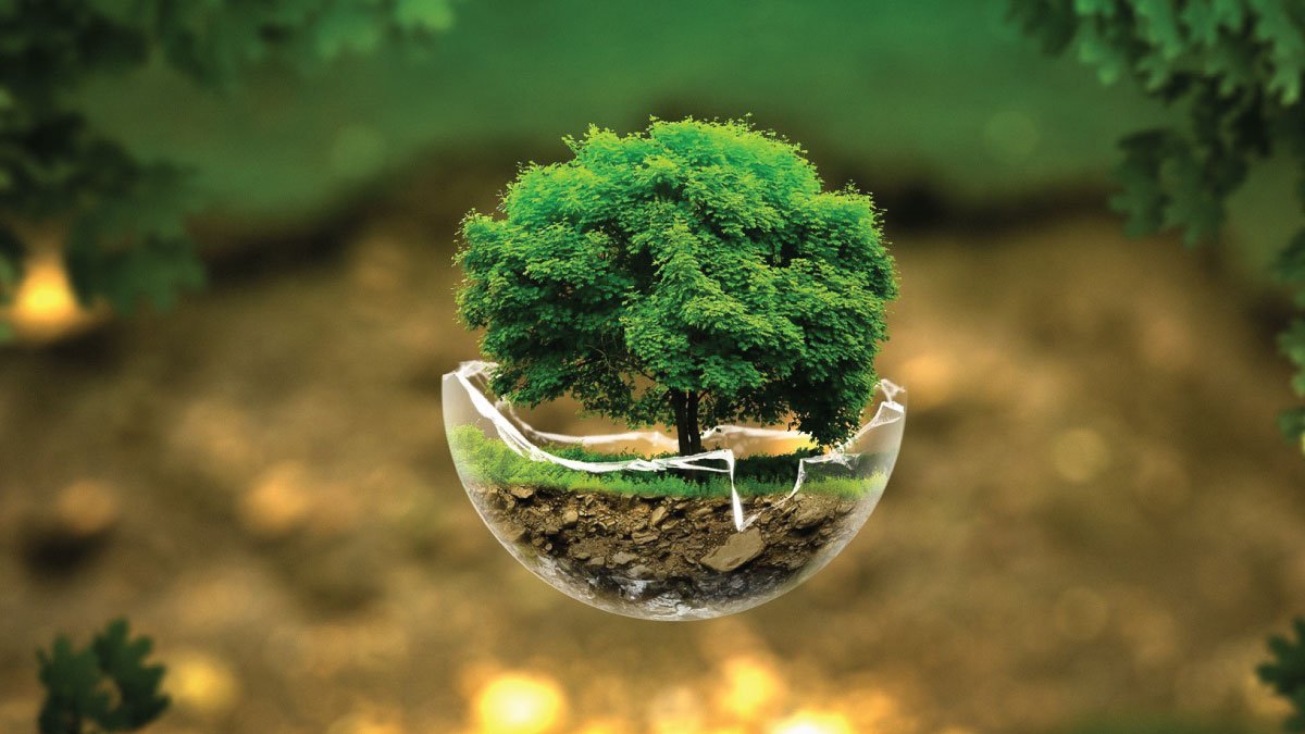 importance of mother nature