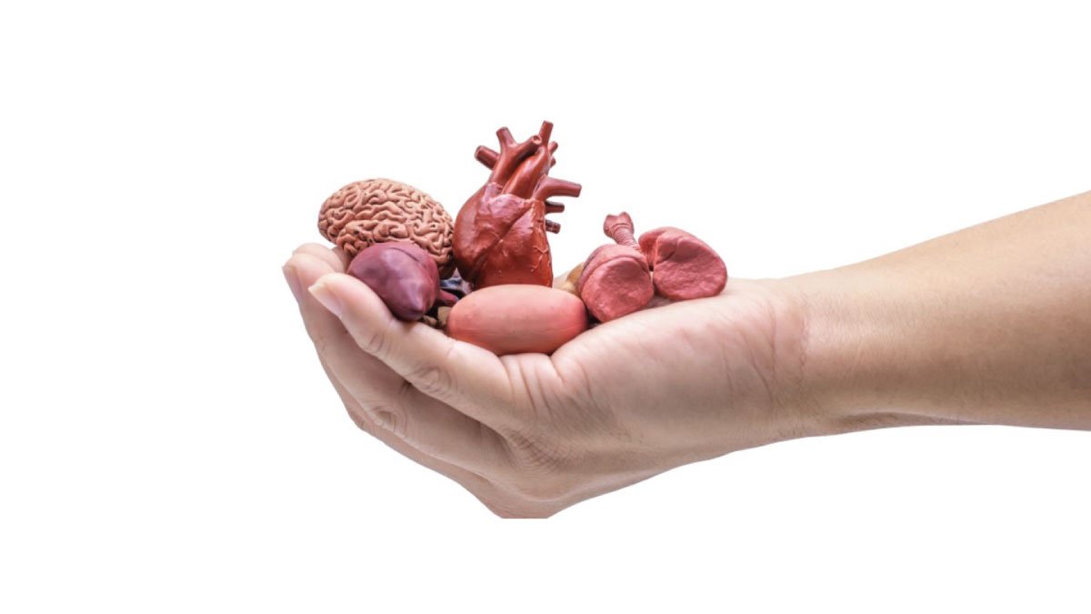 देहदान करना कितना उचित अथवा अनुचित?