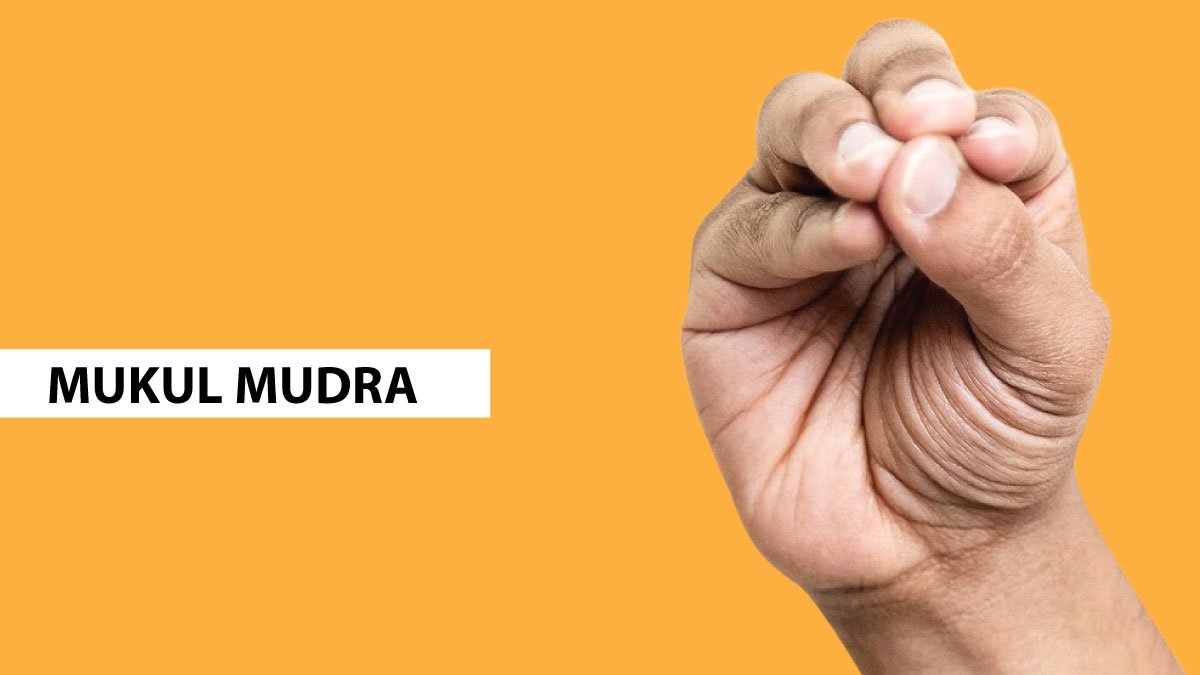 पंच तत्वों का संतुलन बनाती- मुकुल मुद्रा